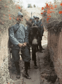 COUV_Plaques-sensibles_Les_Autochromes_de_la_Grande_Guerre_ed_Lienart.png
